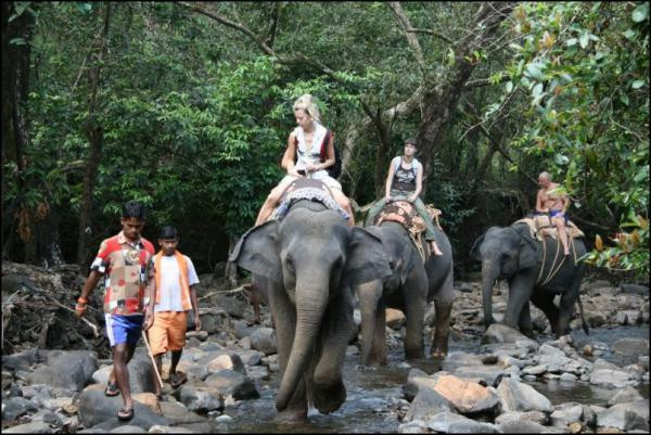 Bhagwan Mahavir Wildlife Sanctuary-South Goa District必去景点