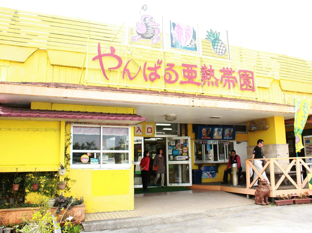 Dinosaur Park Yanbaru Subtropical Forest-名护市必去景点