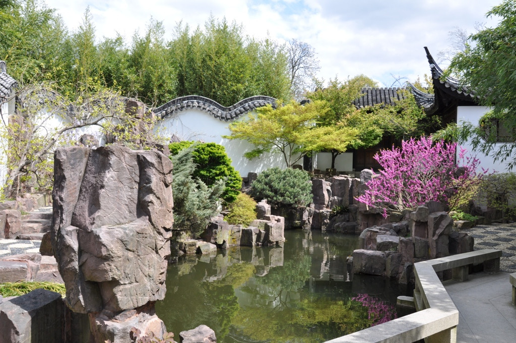 New York Chinese Scholar's Garden景点图片