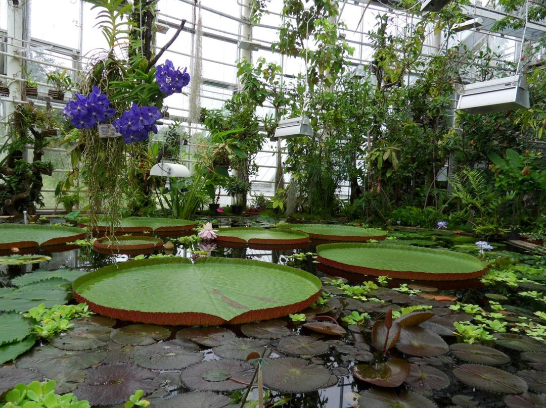 Turku University Botanical Garden-土尔库必去景点