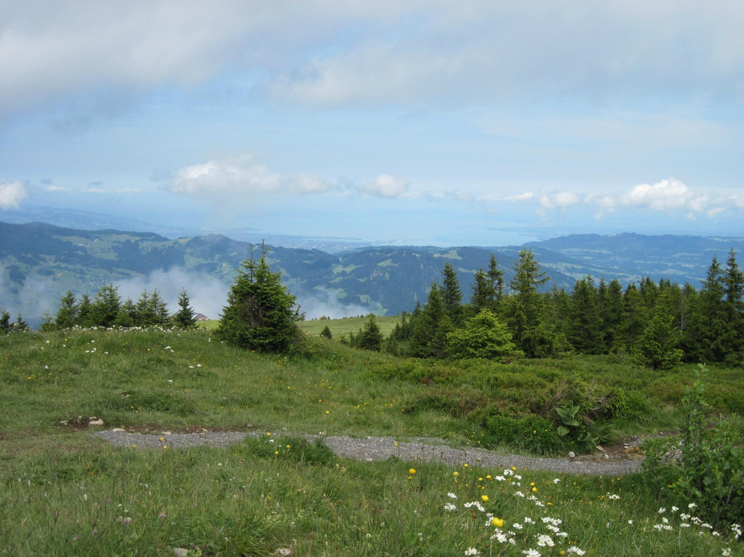 KäseStrasse Bregenzerwald-布雷根兹必去景点