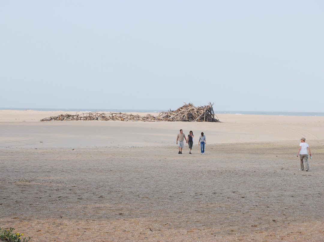 圣卢西亚湿地公园-圣露西亚必去景点