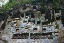 Toraja Village景点图片