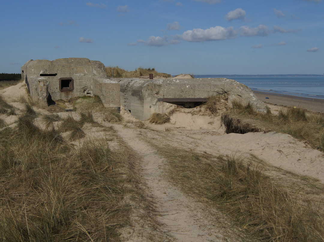 D-Day Historian - Paul Woodadge-巴约必去景点