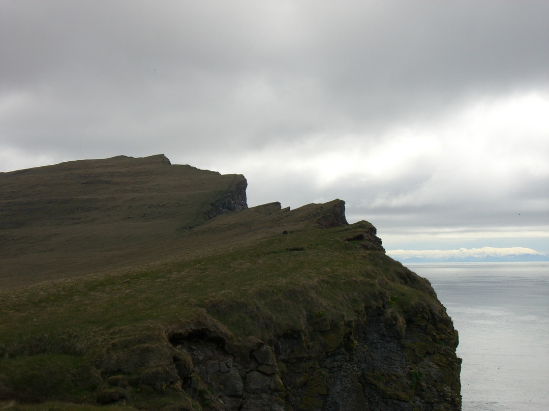 Latrabjarg Cliffs景点图片