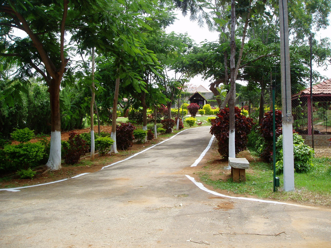 Green Valley Resort