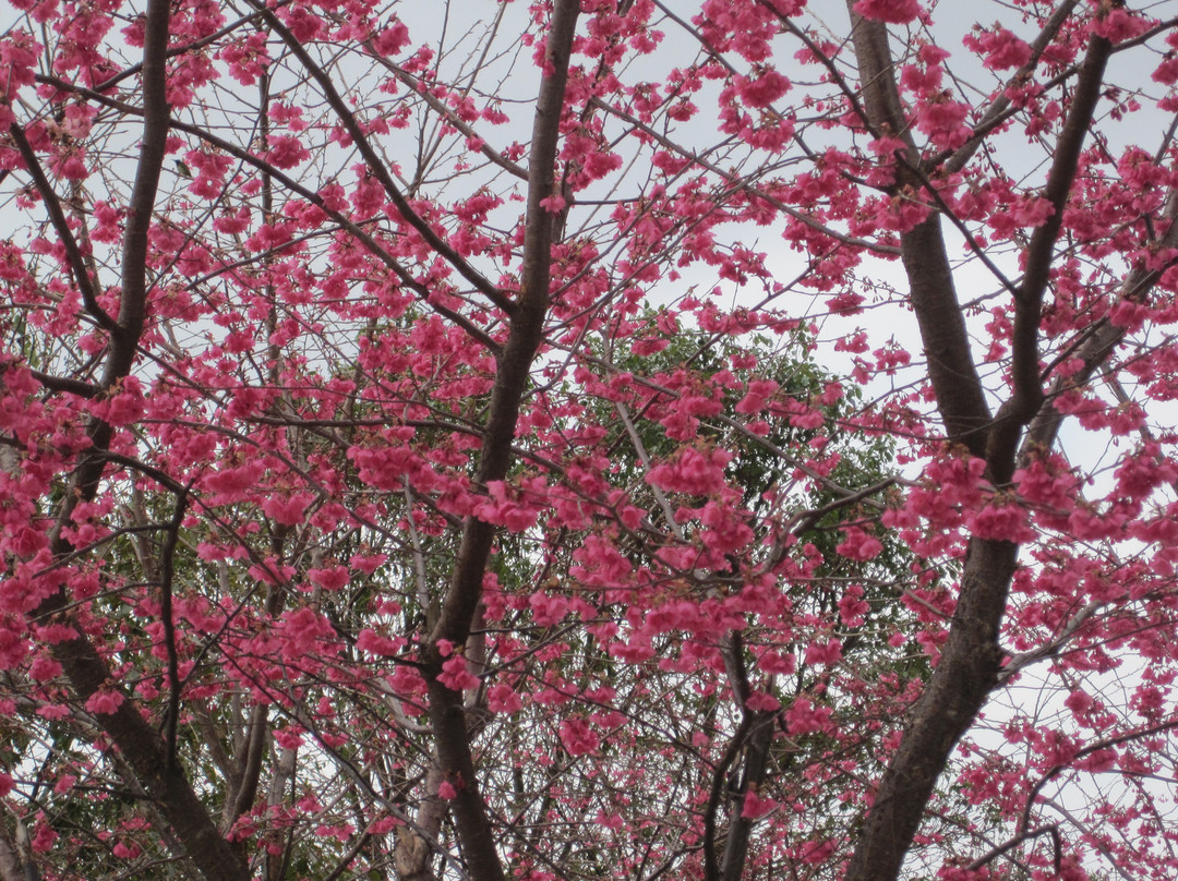 乳源大峡谷-乳源瑶族自治县必去景点