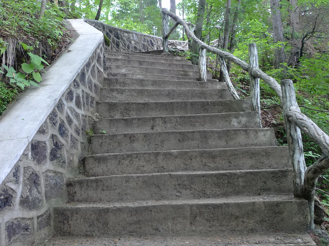 镜泊湖地下森林-宁安市必去景点