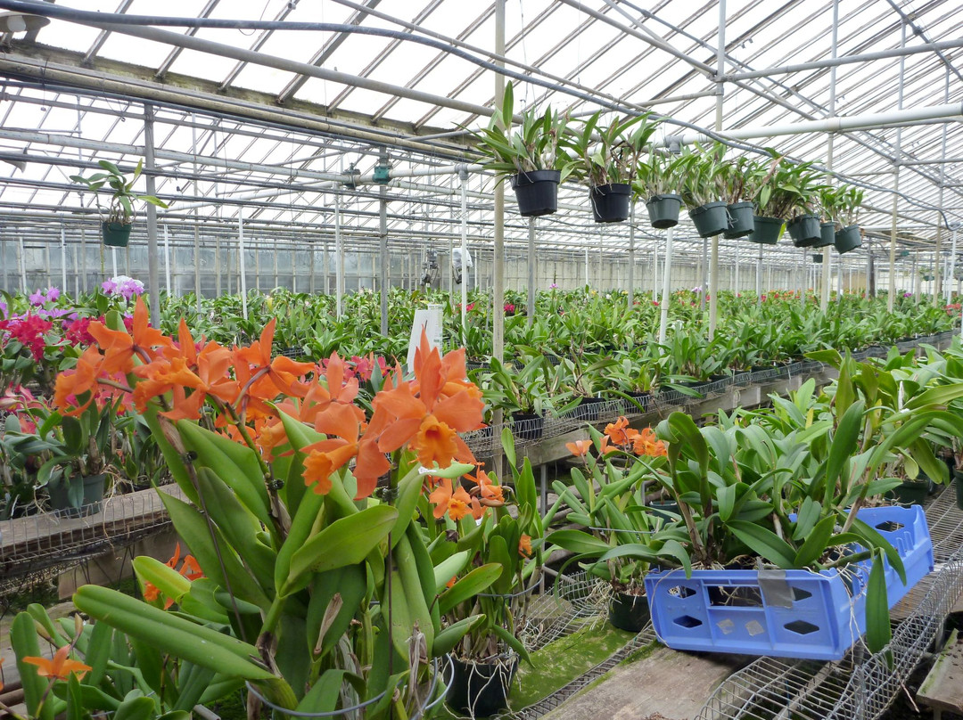 Orchids by Hausermann-Villa Park必去景点