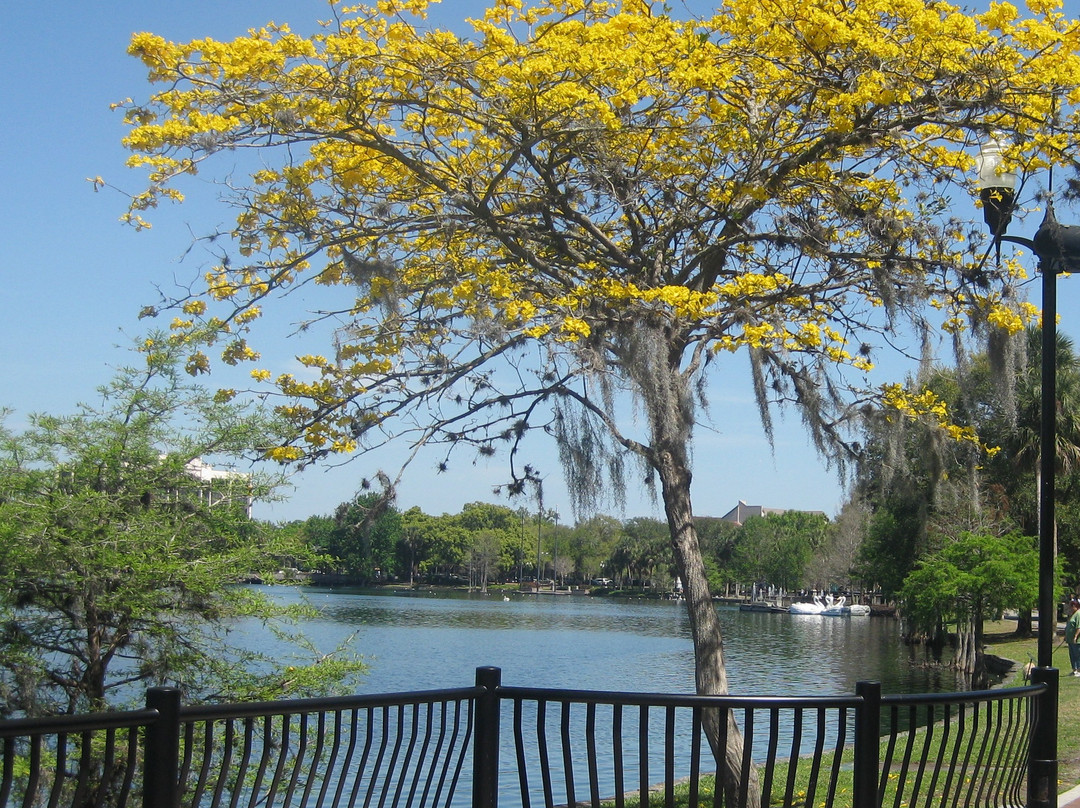 伊欧拉湖边公园-奥兰多必去景点