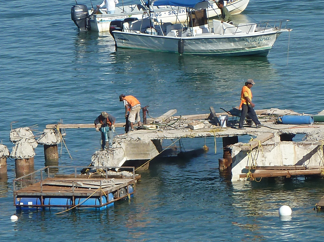 Puerto Vallarta Fishing-瓦拉塔港必去景点
