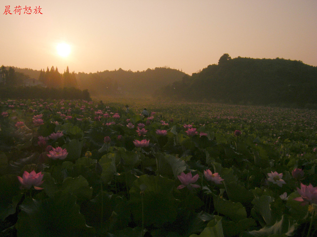 周立波故居-益阳市必去景点