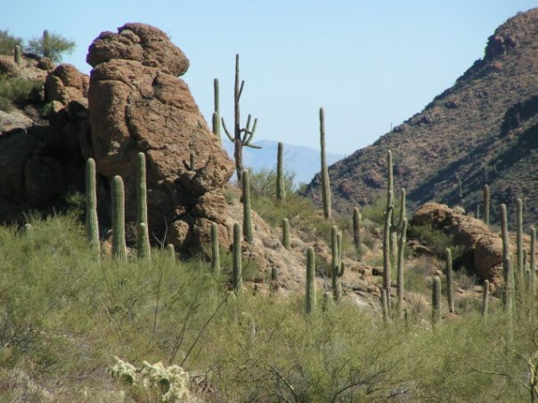 Tucson Mountain Park West-图森必去景点