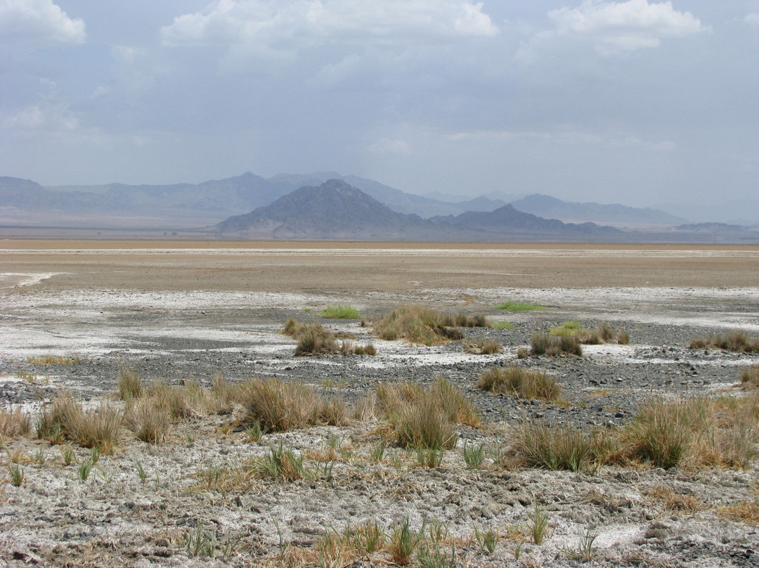 巴斯托旅游景点-Mojave National Preserve