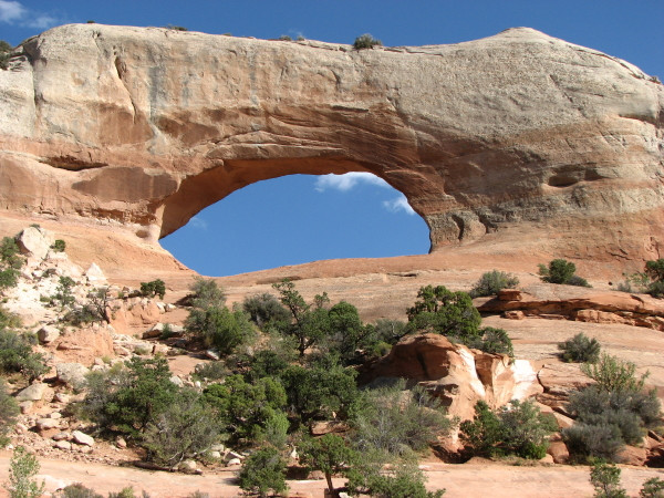 Road to Needles District-莫阿布必去景点