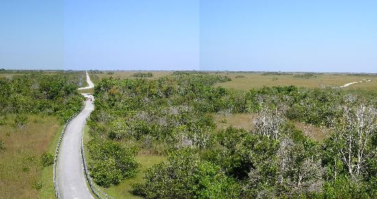 鲨鱼谷-大沼泽国家公园必去景点