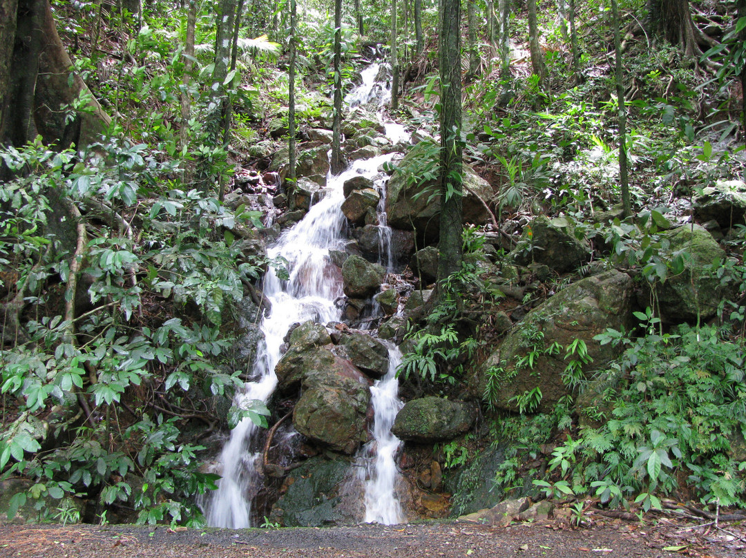 Daintree National Park-Cape Tribulation必去景点