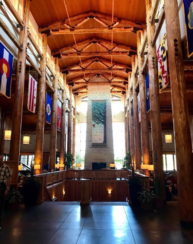 Library Lounge - Lied Lodge