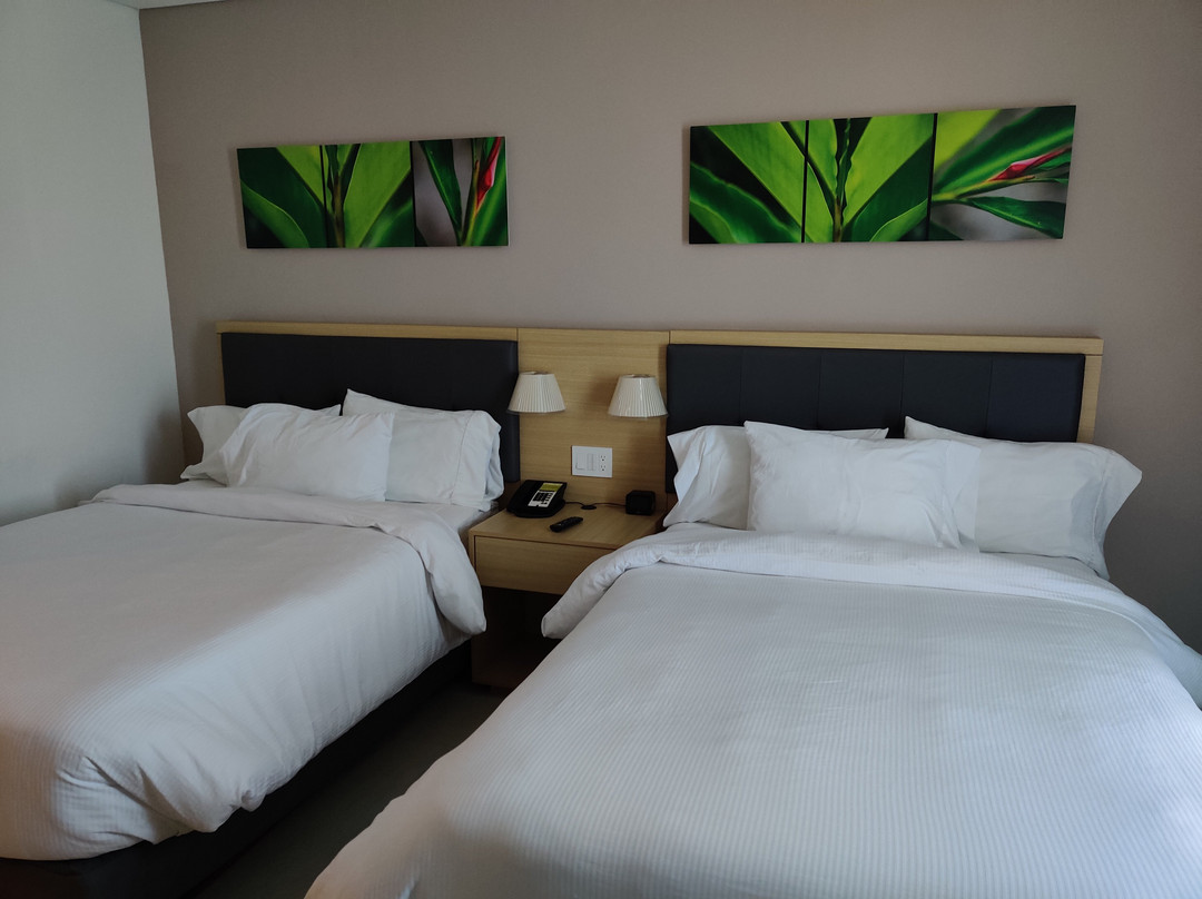 Hilton Garden Inn Merida主图