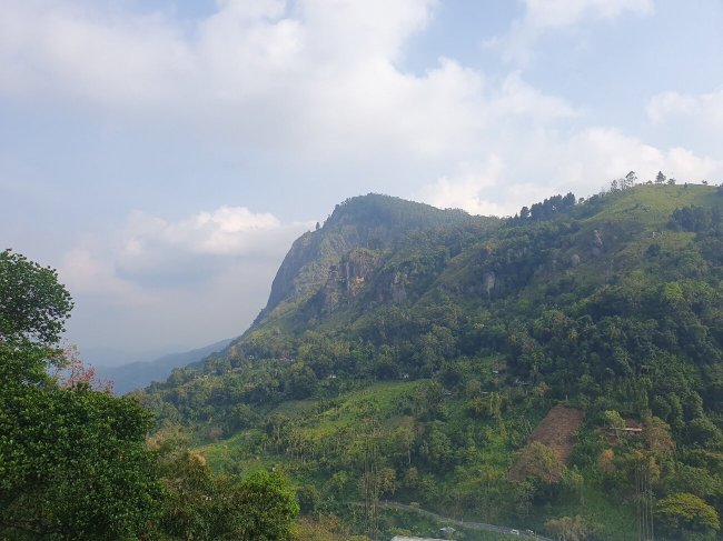 Different View-官方