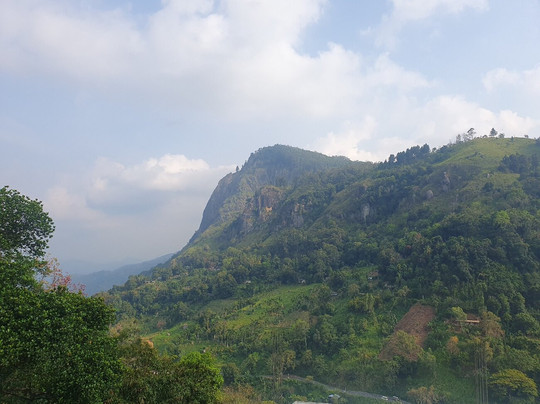 Different View主图