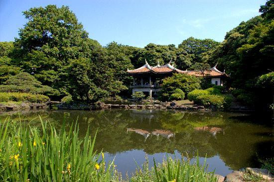 新宿御苑景点图片