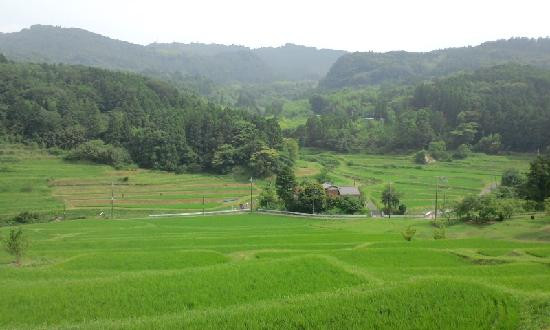 Oyama Rice Terraces-鸭川市必去景点