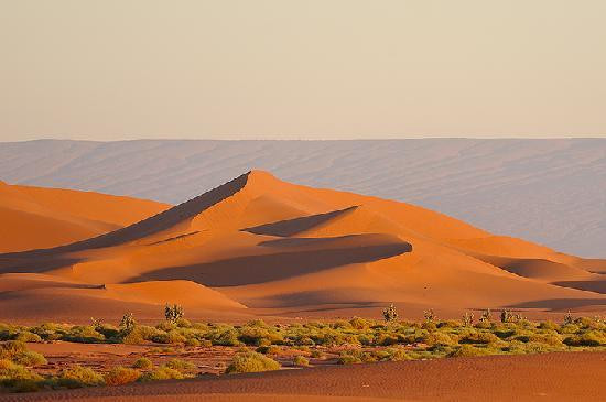 Bivouac sous les Etoiles-迈哈米德必去景点