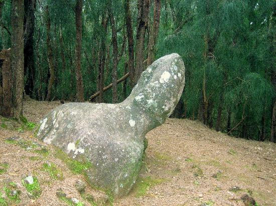 Phallic Rock (Ka Ule o Nanahoa)-霍奥莱胡阿必去景点