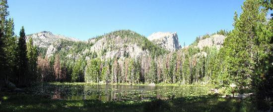 Bear Lake Trailhead景点图片