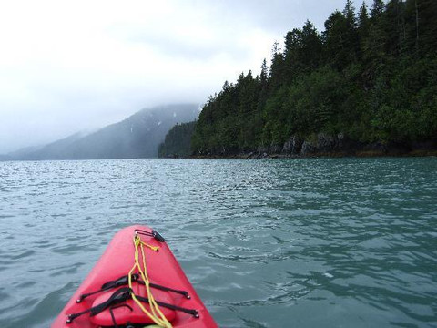Sunny Cove Sea Kayaking-苏厄德必去景点
