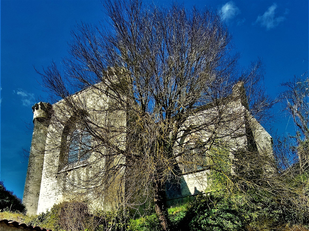 Eglise Saint-Séverin (ancienne abbatiale)
