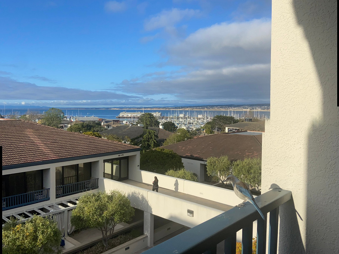 蒙特雷湾波托拉Spa酒店主图