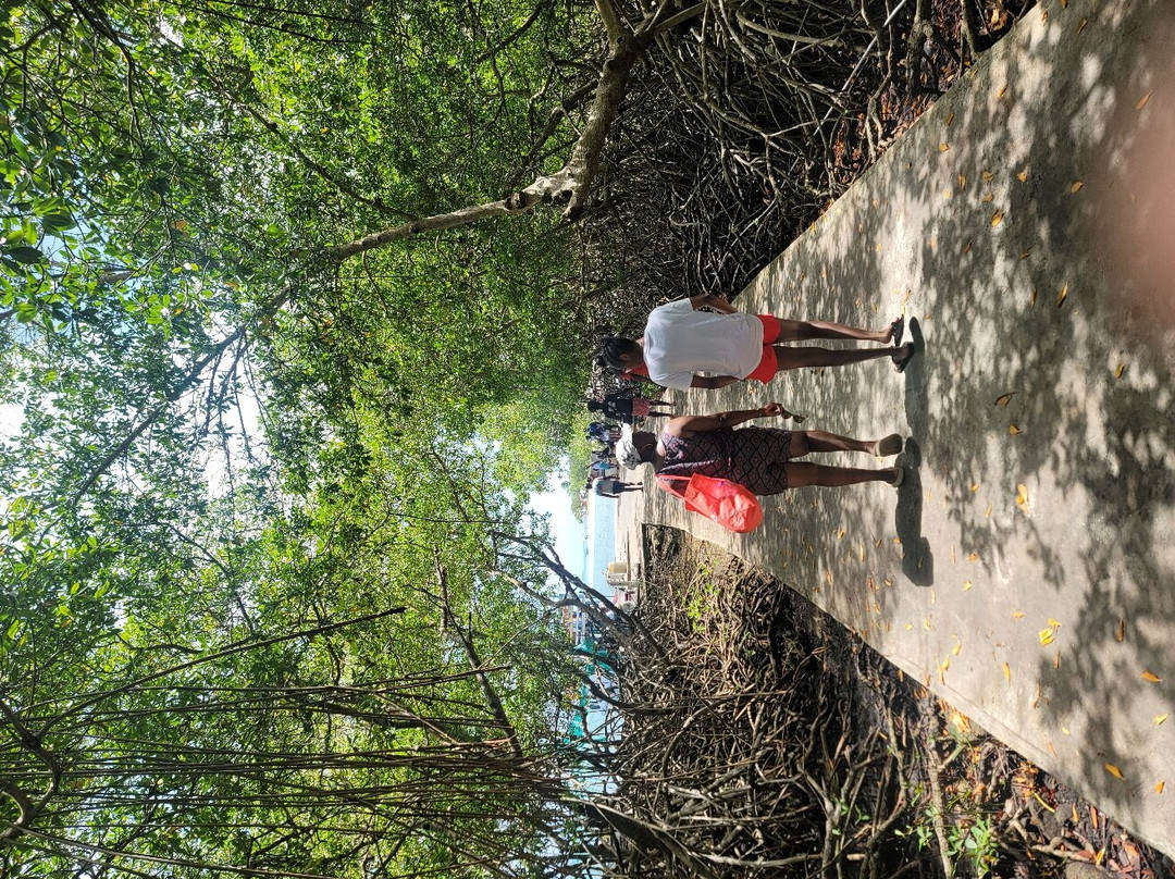 Frankie Tours & Rentals-Mount Irvine必去景点