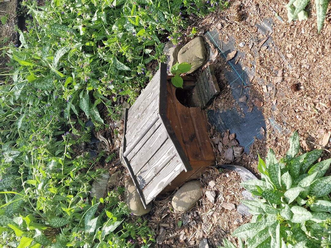 Sensory Gardens景点图片