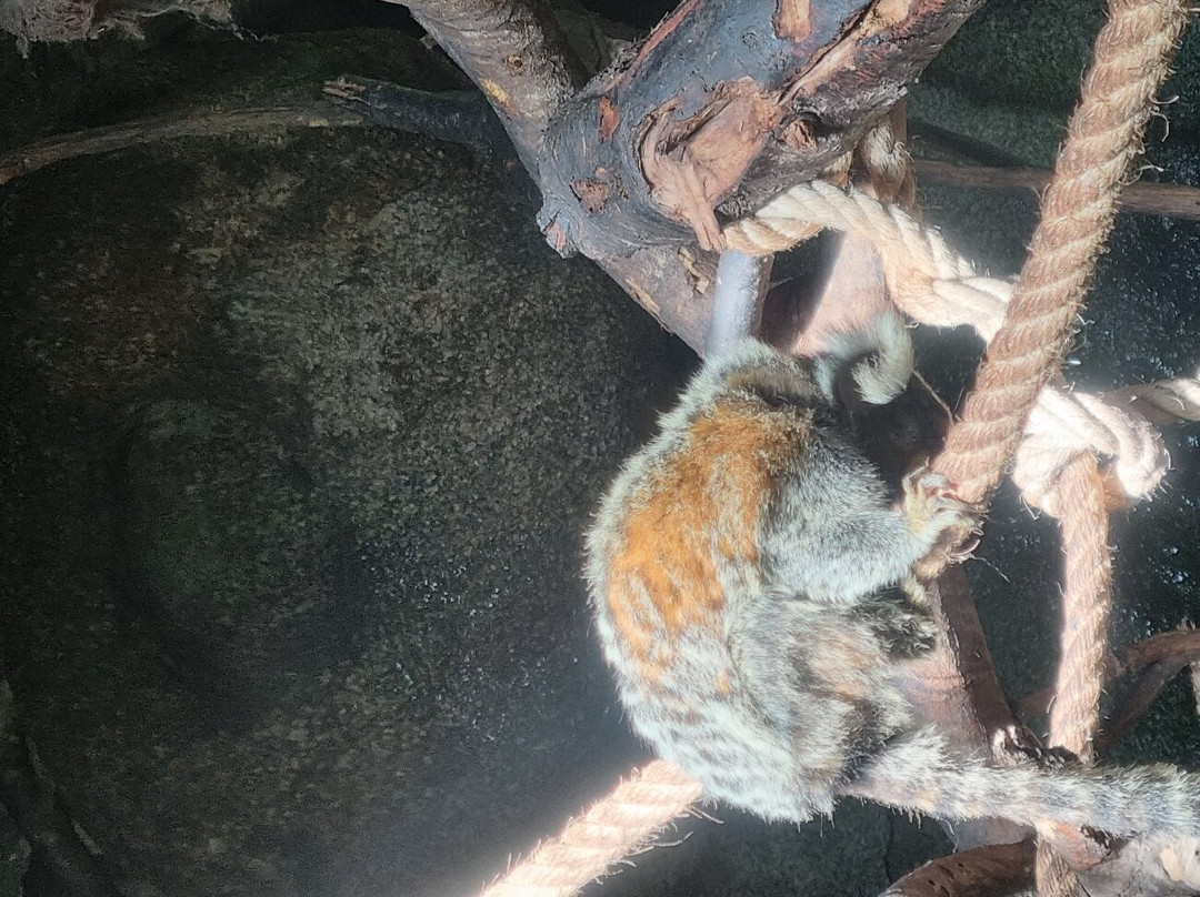 Marcelle Natureza-Outeiro de Rei必去景点