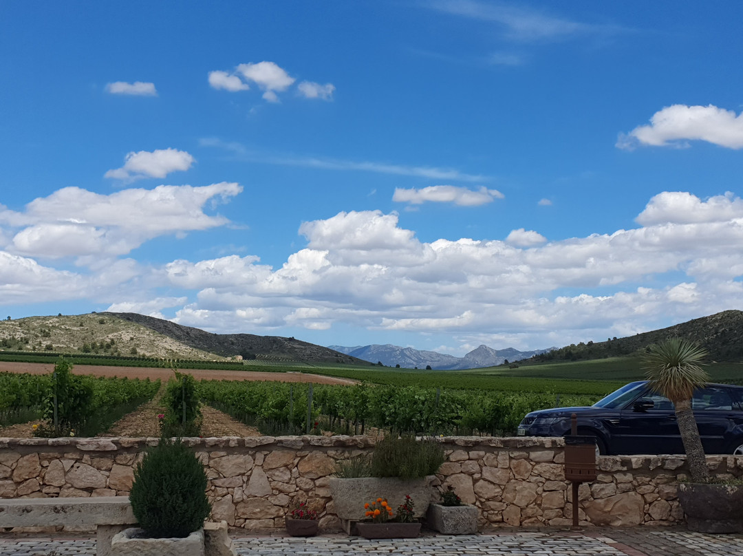 Bodegas Francisco Gomez景点图片