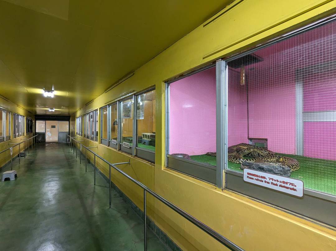 Japan Snake Center-太田市必去景点