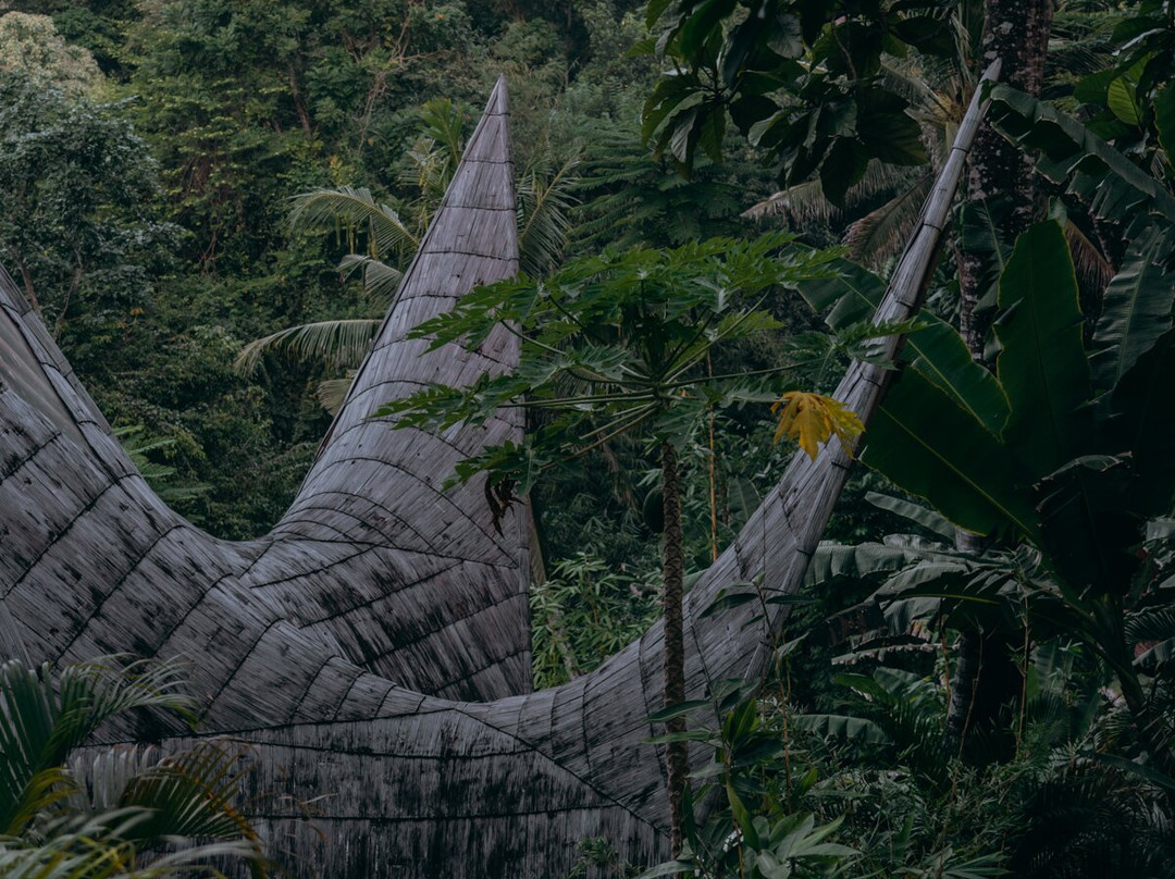 Suenyo Eco Retreat主图