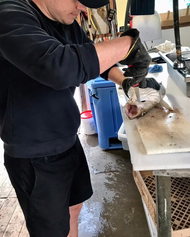 Fishing For Success At Island Rooms Of Petty Harbour-Petty Harbour必去景点