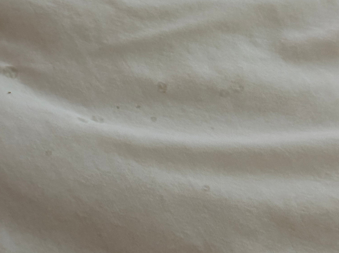 Days Inn & Suites by Wyndham Pocahontas主图