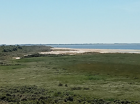 Uitkijkpunt Groene Strand Oostvoorne