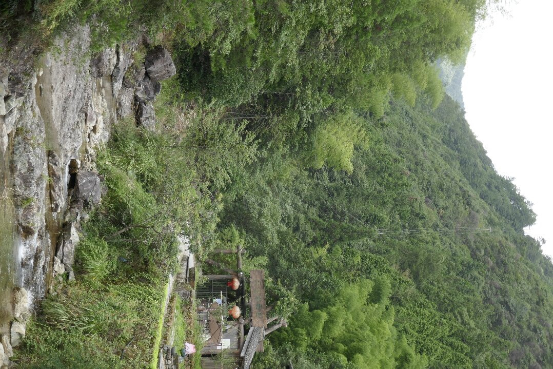 丽水庆元百山祖-庆元县必去景点