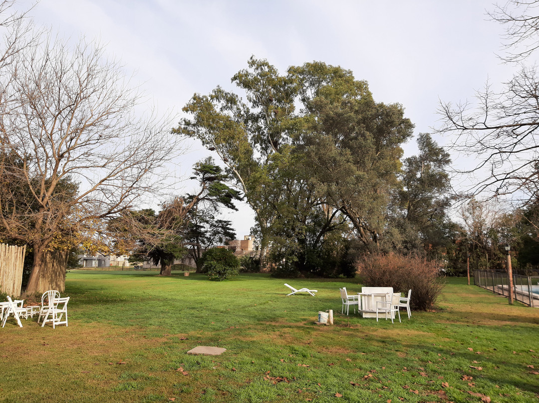 La Mancha Verde主图