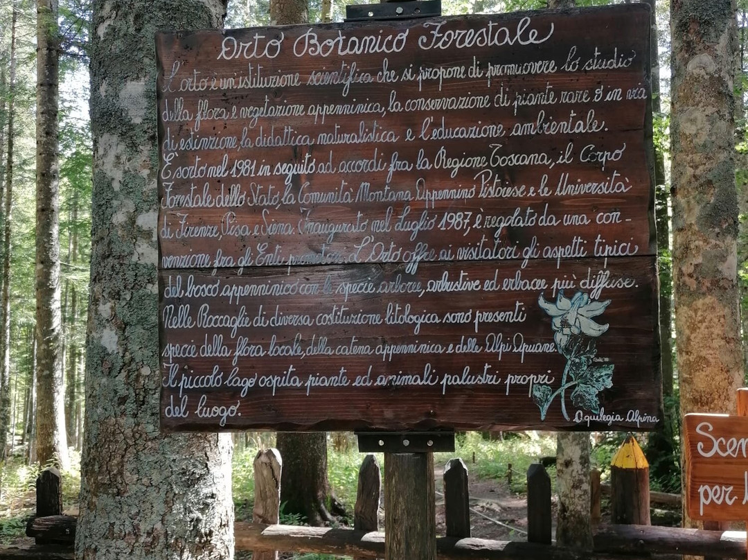 Orto Botanico Forestale景点图片