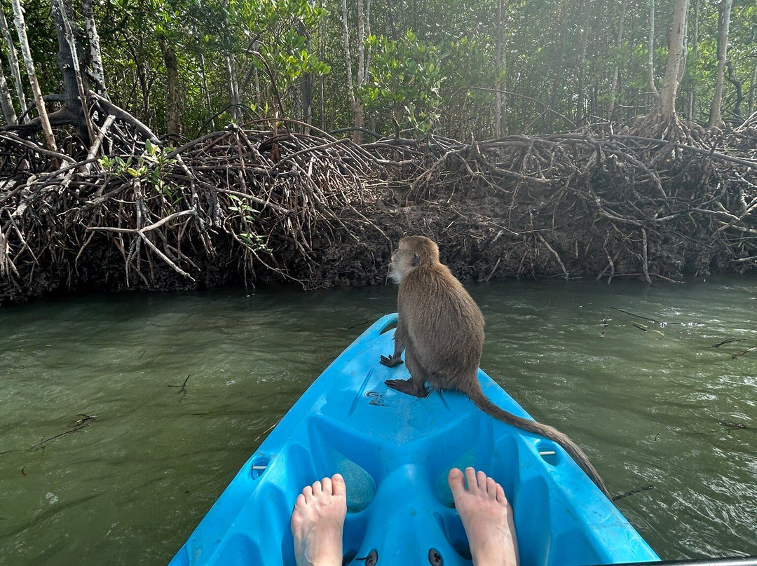 Lanta Mangrove Tour-Ban Sala Dan必去景点