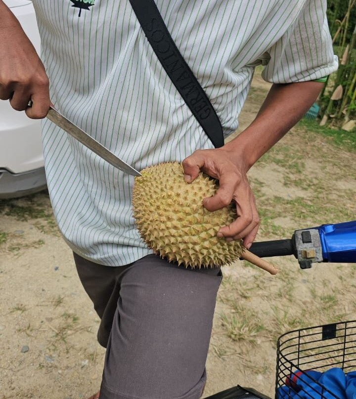 Pos Kuala Mu-Sungai Siput必去景点