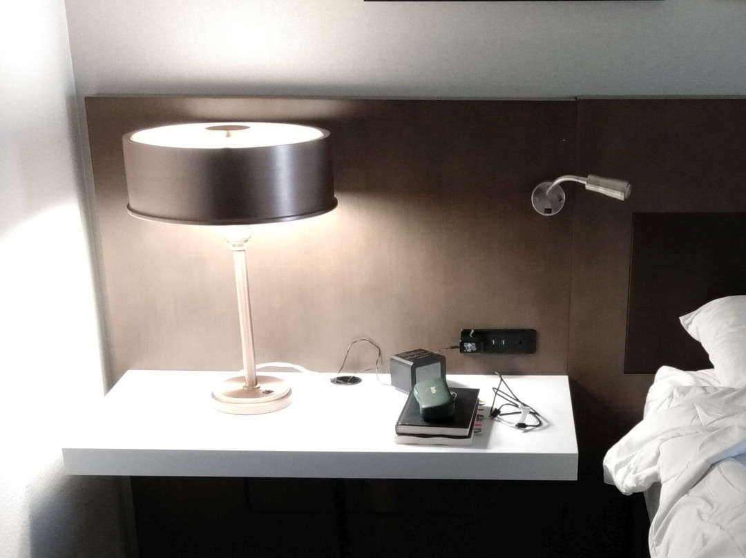 Hilton Garden Inn Baltimore Washington Airport主图