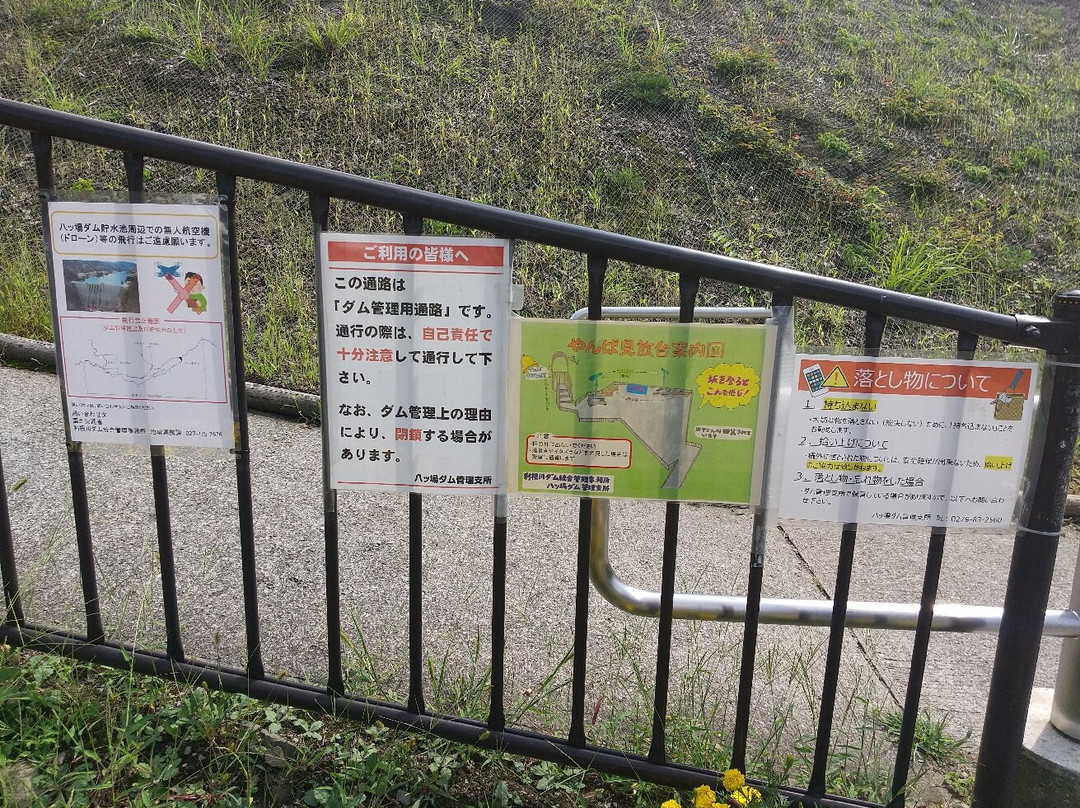 Yamba Viewing Platform-长野原町必去景点