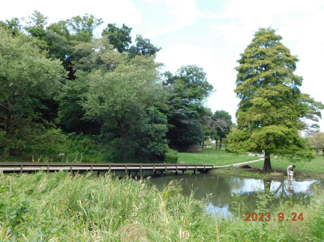 Shinbayashi Park-藤泽市必去景点